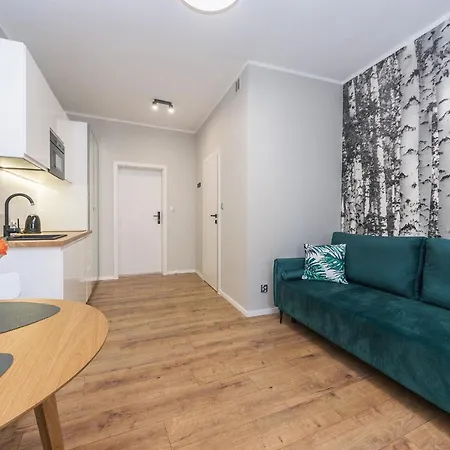 Appartement Comfort Apartments Lakowa 9